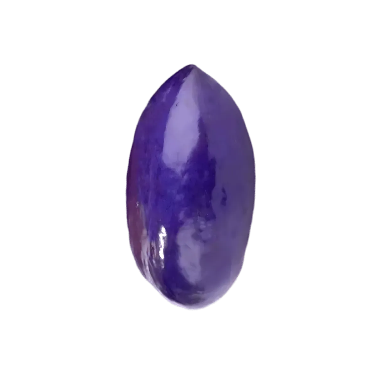 Safou - Fruit africain à la peau violette brillante, connu pour sa texture crémeuse et sa saveur unique, idéal en cuisine africaine.